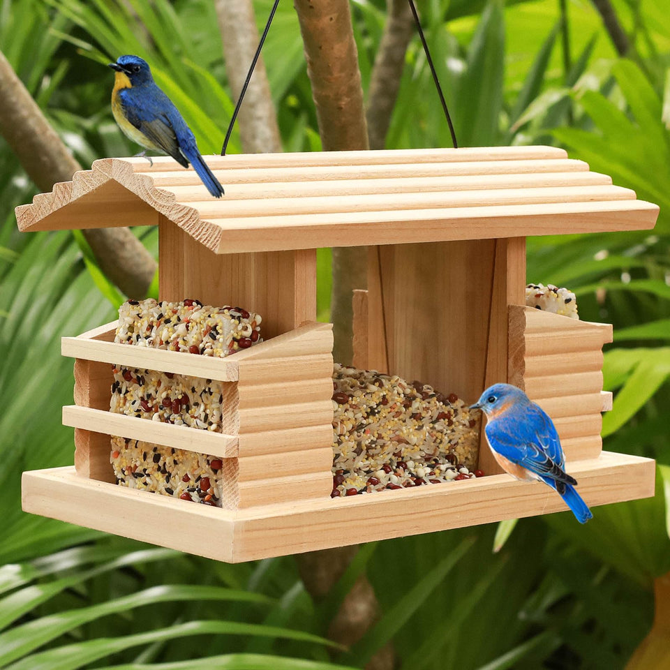 STARSWR double suet cake bird feeder on a wooden platform attracting multiple bird species