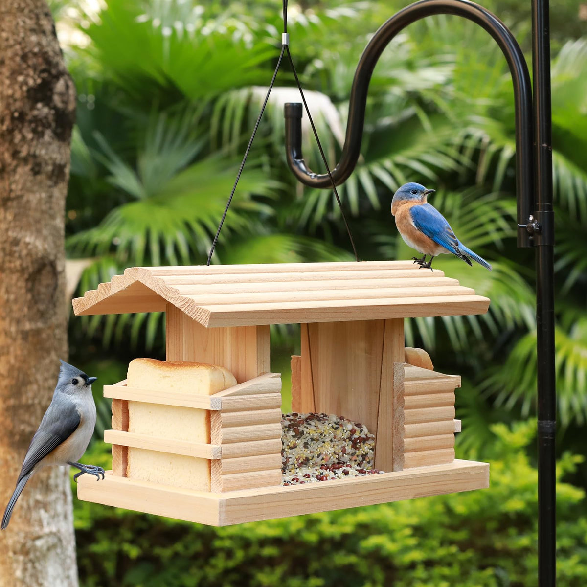 STARSWR viewing windows enable easy observation of feeding birds from both sides