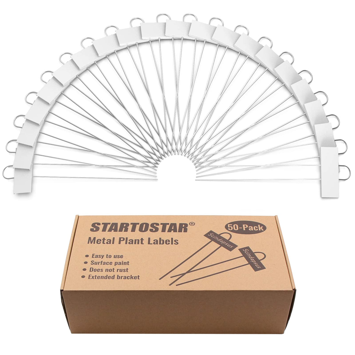 STARTOSTAR offers 12-month support and friendly service for peace of mind.