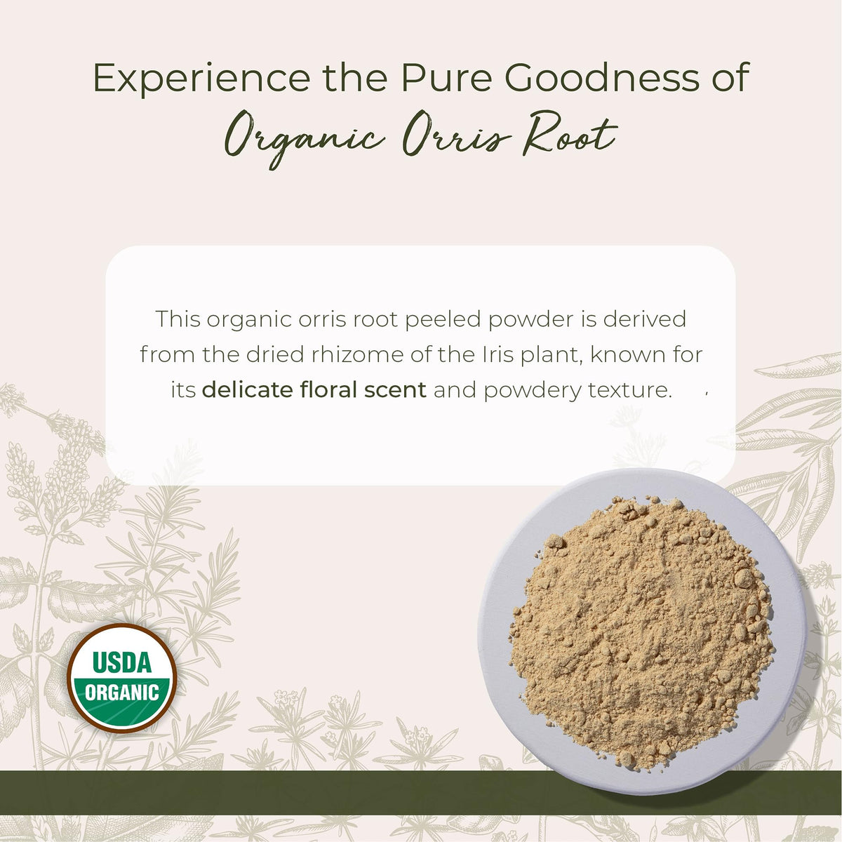 Starwest orris root peeled powder close-up highlights violet-like aroma for crafts and blends.