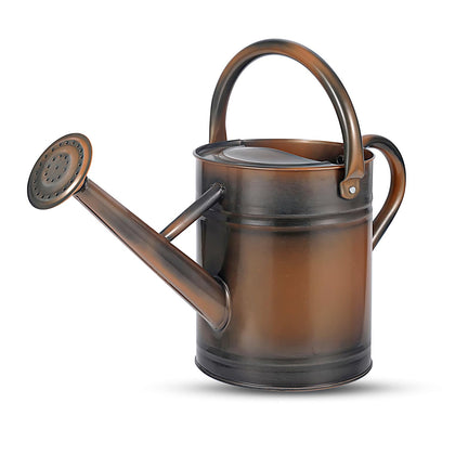 Stdemarzo 1-gallon watering can with removable spout for adjustable irrigation