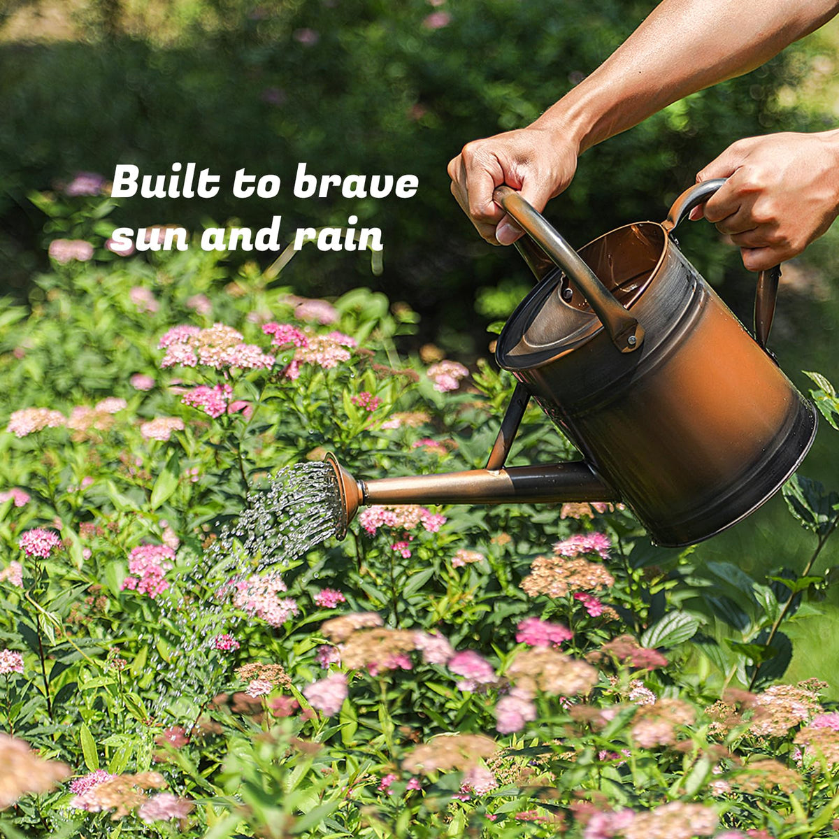 Stdemarzo galvanized steel watering pot ideal for indoor and outdoor use