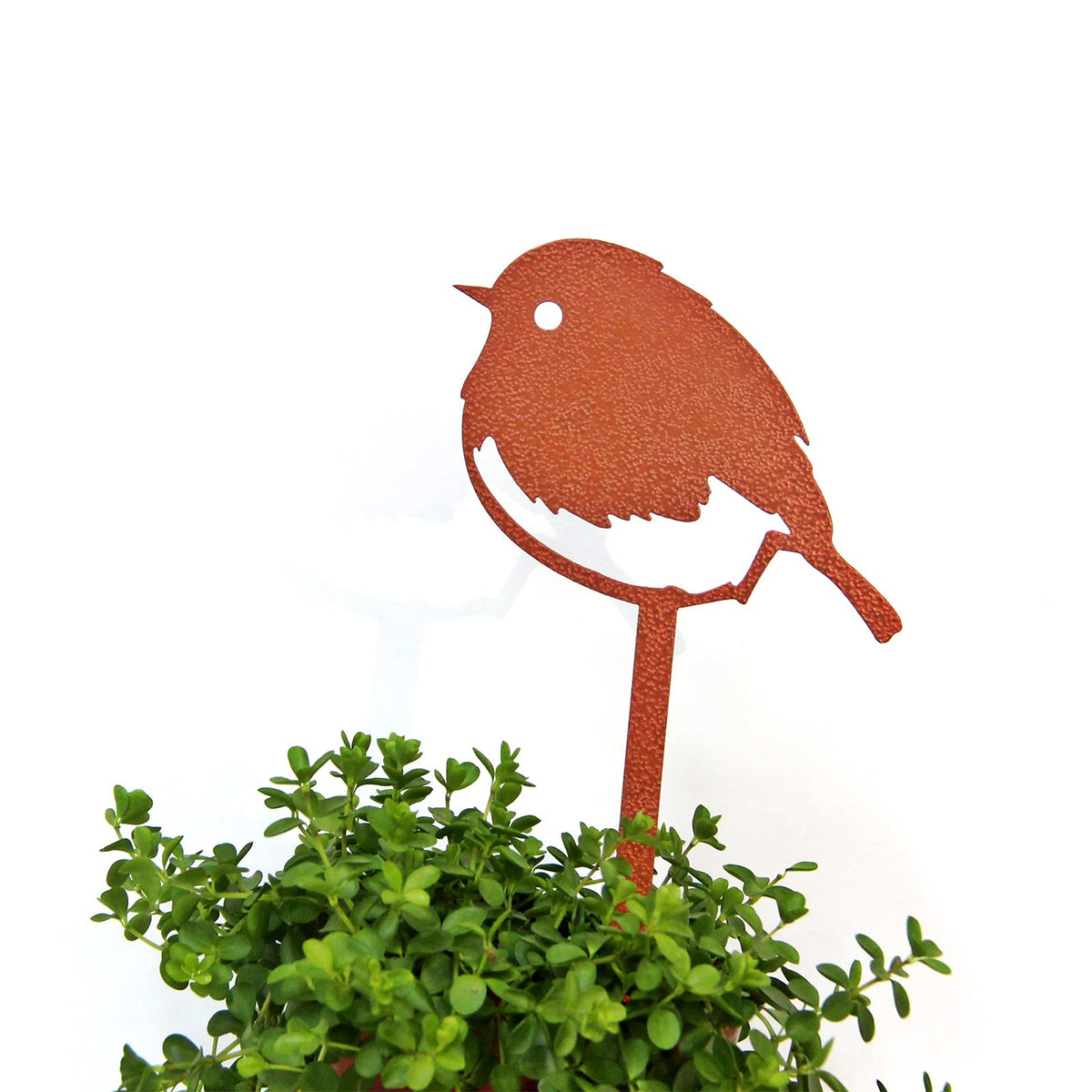 Charming gift for bird lovers and gardeners.
