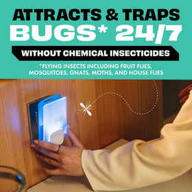 STEM Light Trap refill for fruit flies provides odorless, insecticide-free control in kitchens.