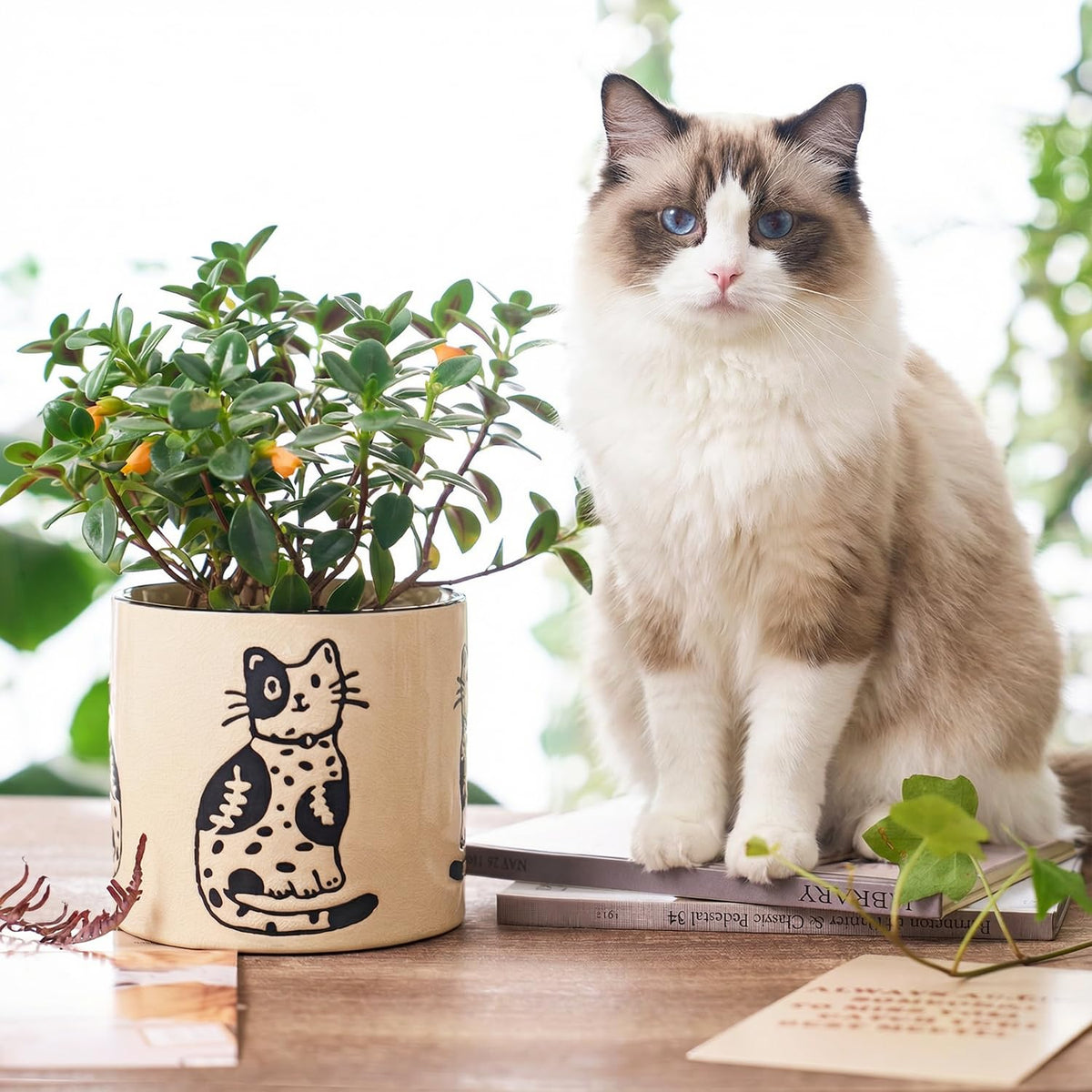 STHIE 5-inch ceramic plant pot with drainage for compact spaces.