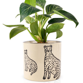 STHIE 5-Inch ceramic planter with panther pattern for stylish indoor decor.