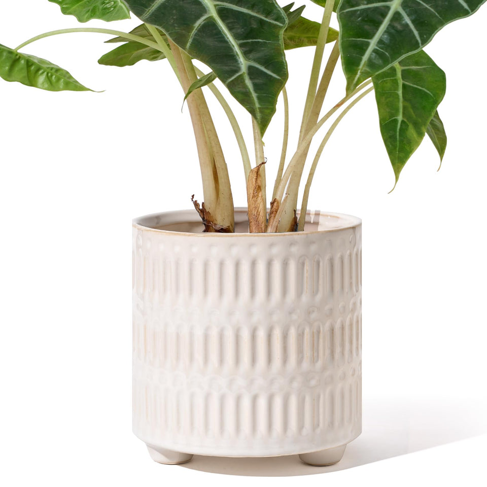 STHIE 5-inch ceramic planter with crackle glaze for modern indoor styling and drainage.