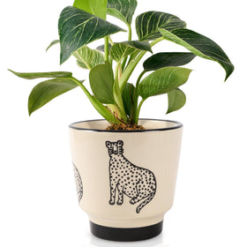 STHIE 5-inch ceramic planter with panther pattern for stylish indoor decor