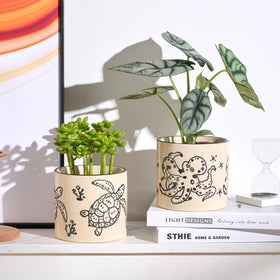 STHIE beige ceramic pot textured surface enhances minimalist indoor decor.