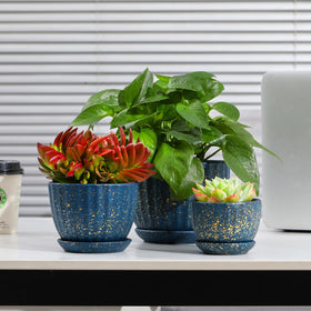 STHIE blue plant pots displayed in a modern home setting.