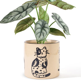 STHIE cat-patterned ceramic pot with drainage enhances indoor plant display.