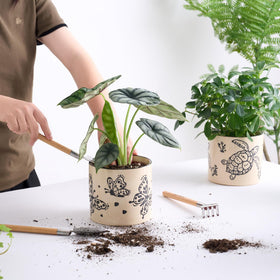 STHIE gift for ocean lovers—the cute sea turtle planter.