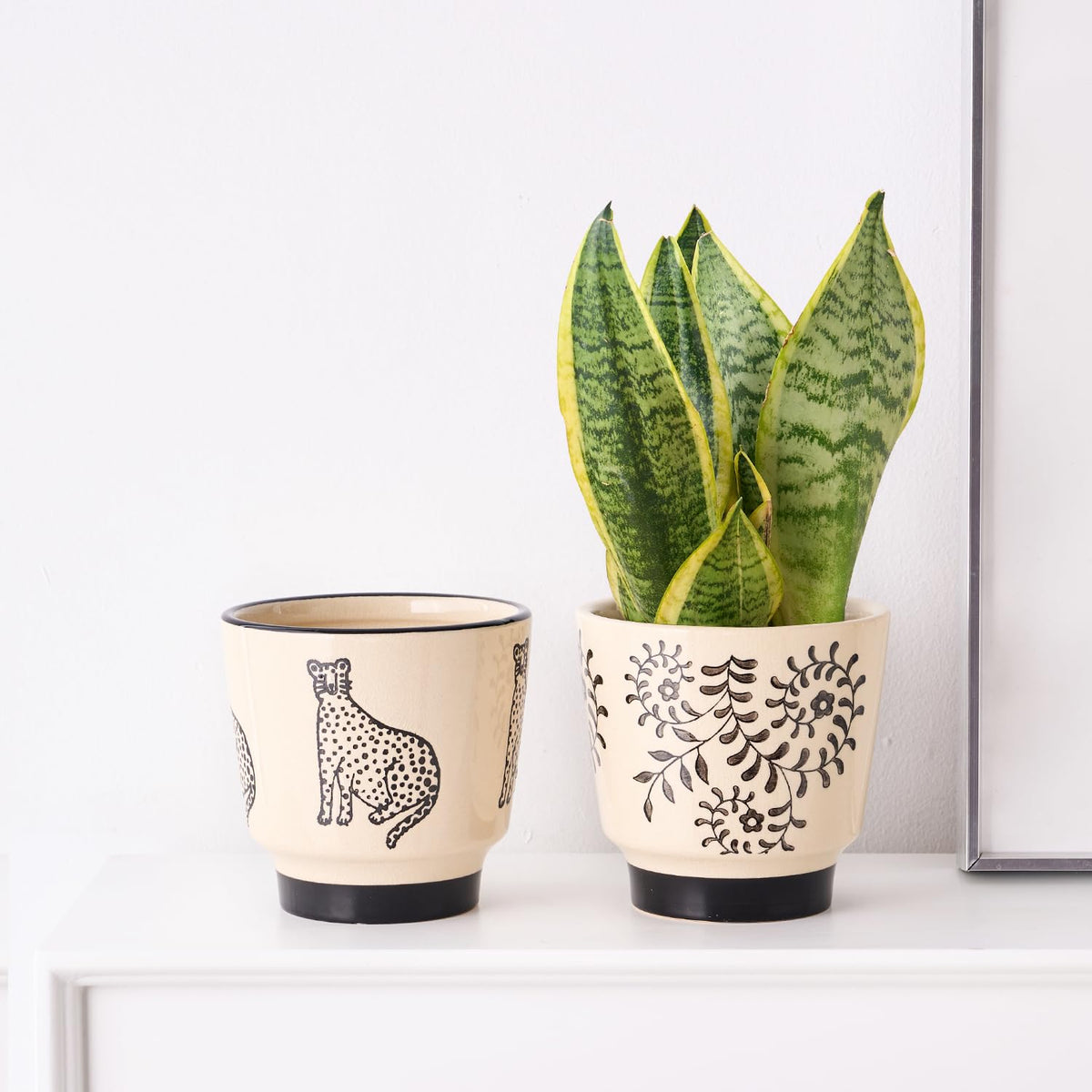 STHIE gift-worthy plant pot with panther design
