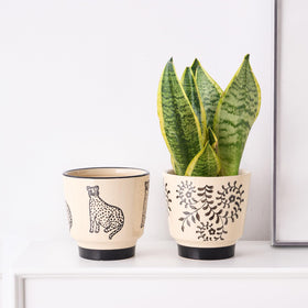 STHIE gift-worthy plant pot with panther design