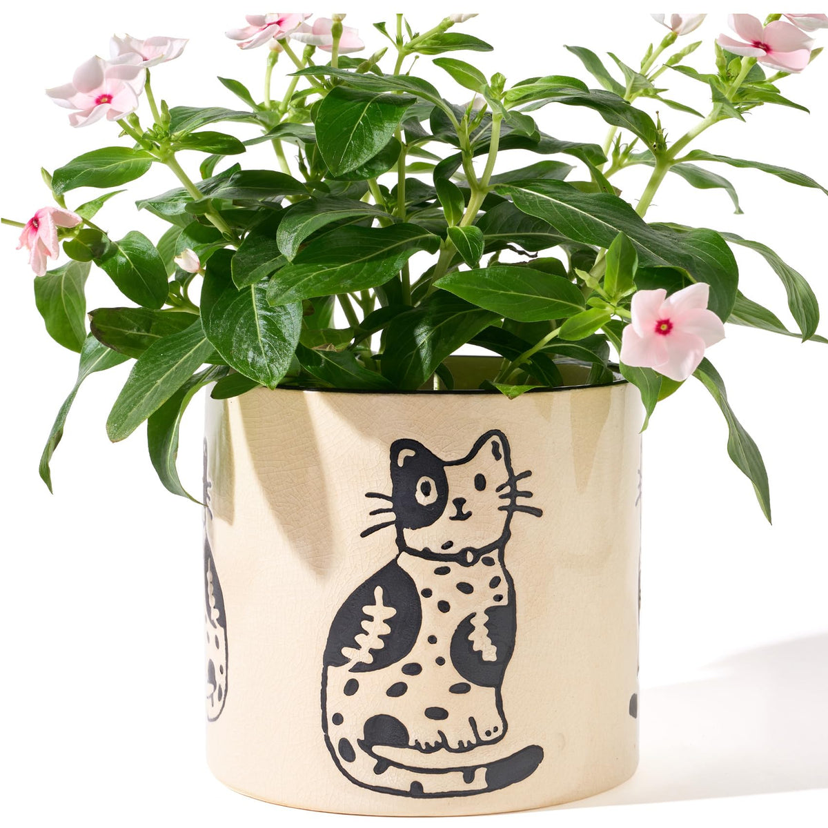 STHIE cat planter for home or office decor.