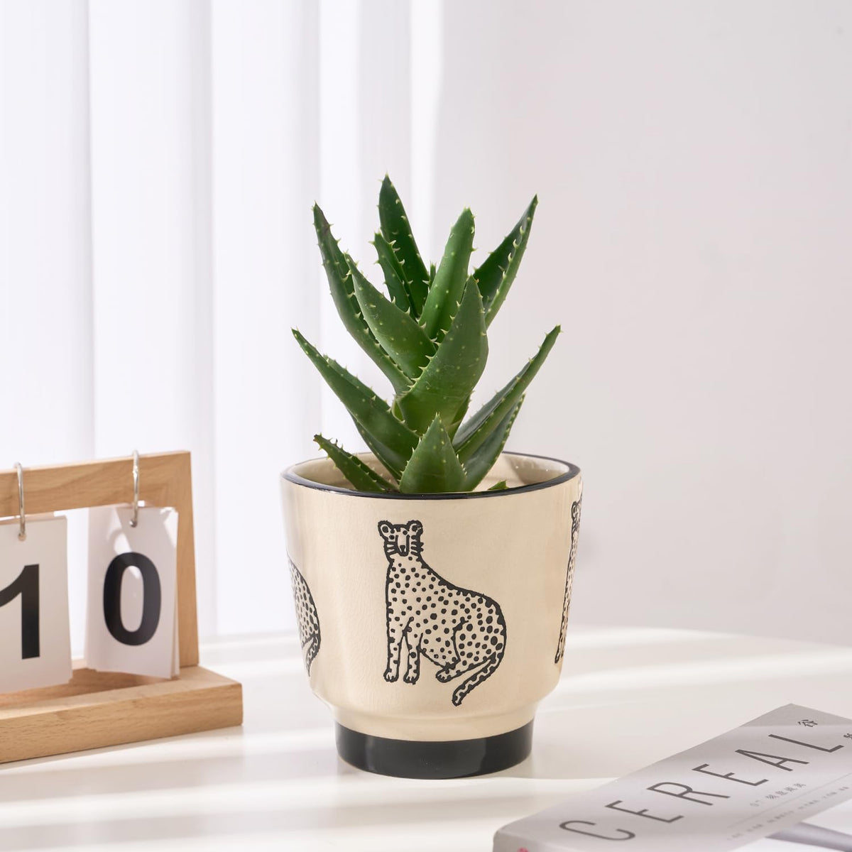 STHIE indoor plant pot on windowsill with clean ceramic finish