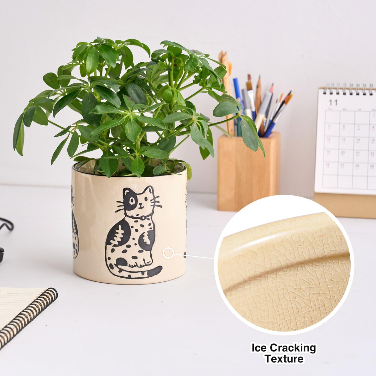 STHIE indoor pot with drainage mesh supports healthy roots.