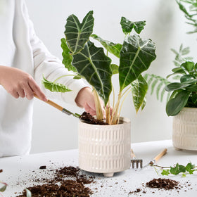 STHIE modern mini planter in ceramic adds understated elegance to desks.