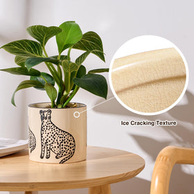 STHIE small plant pot ideal for succulents and compact desk setups.