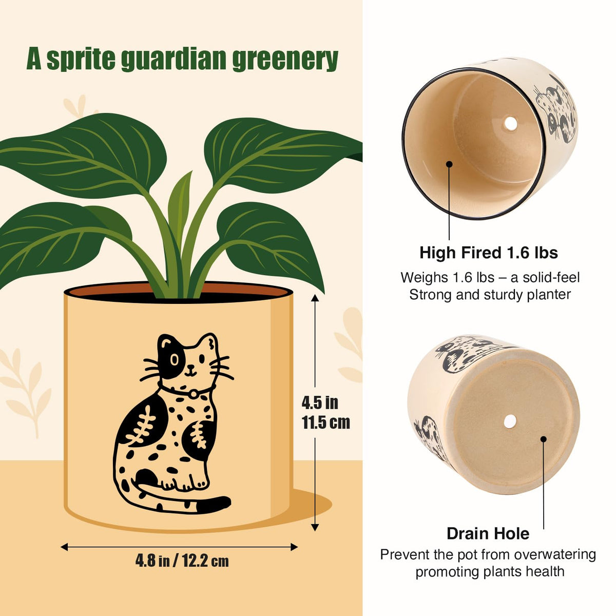STHIE snake plant pot fits shelves and desks.