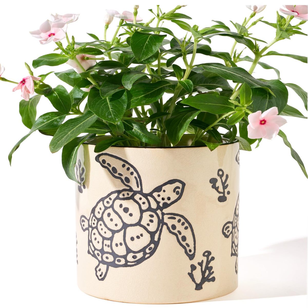 STHIE versatile indoor plant pot with sea turtle design.