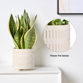 STHIE white cactus snake plant pot suits small greens on countertops or shelves.