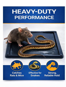 Sticky Stop glue traps in corners catch pests where they travel.