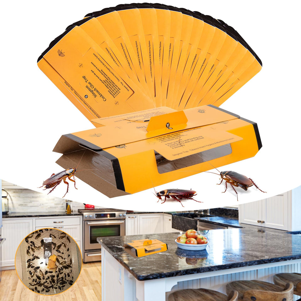 Stingmon 24-pack roach traps indoors in use to catch cockroaches effectively.