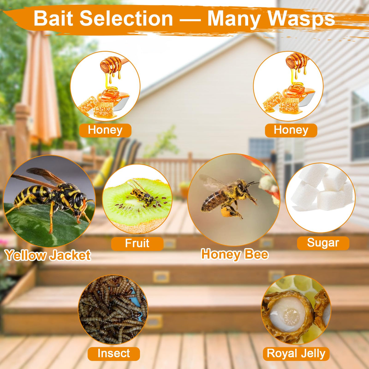 Stingmon bait options including beer and fruit vinegar attract wasps