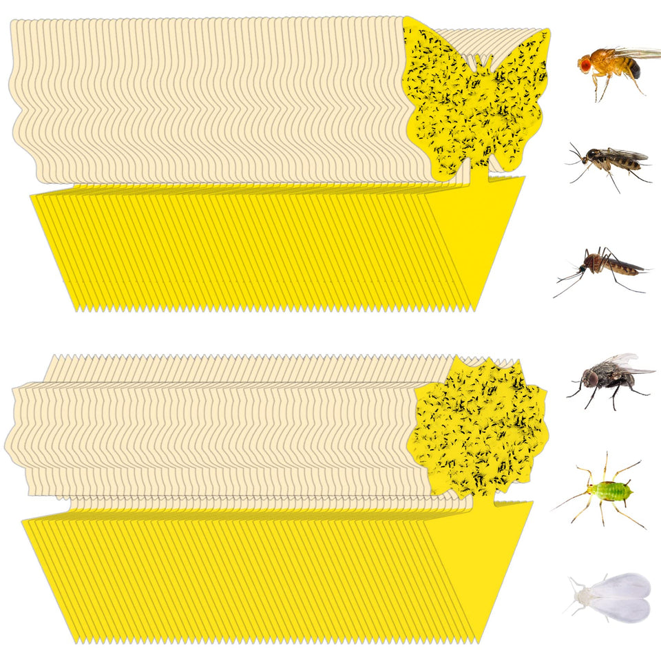 Stingmon fruit fly trap indoors with bright color attracts pests and prevents escape.