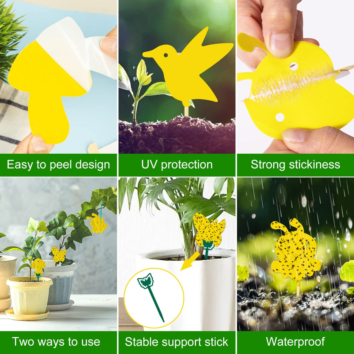 Stingmon insert trap into soil near plant for simple setup