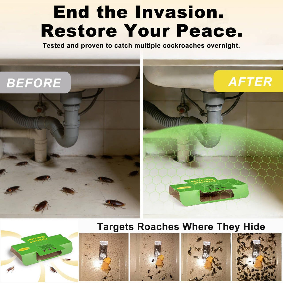 Stingmon roach trap ready-to-use straight from fold for immediate use.