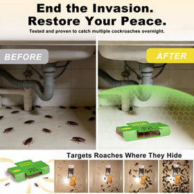 Stingmon roach trap ready-to-use straight from fold for immediate use.
