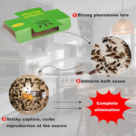 Stingmon roach trap surface-placement ideal near suspected activity spots.