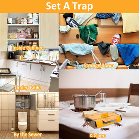 Stingmon roach traps can be flat or folded for flexible placement.