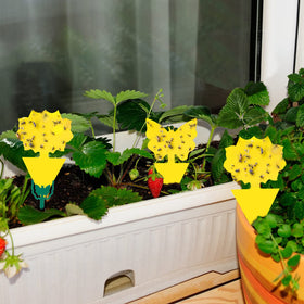 Stingmon safe indoor insect trap with no odors or chemicals.