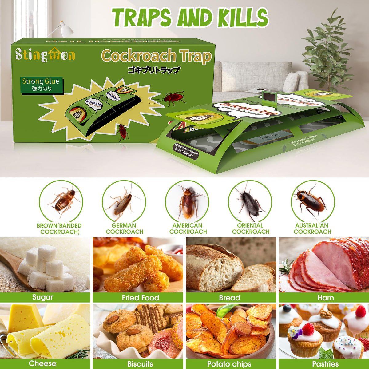 Stingmon Trap used near pantry shelves for broad indoor coverage.