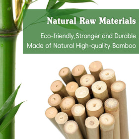 Stroller bamboo stake for indoor plants provides lightweight, sturdy support.