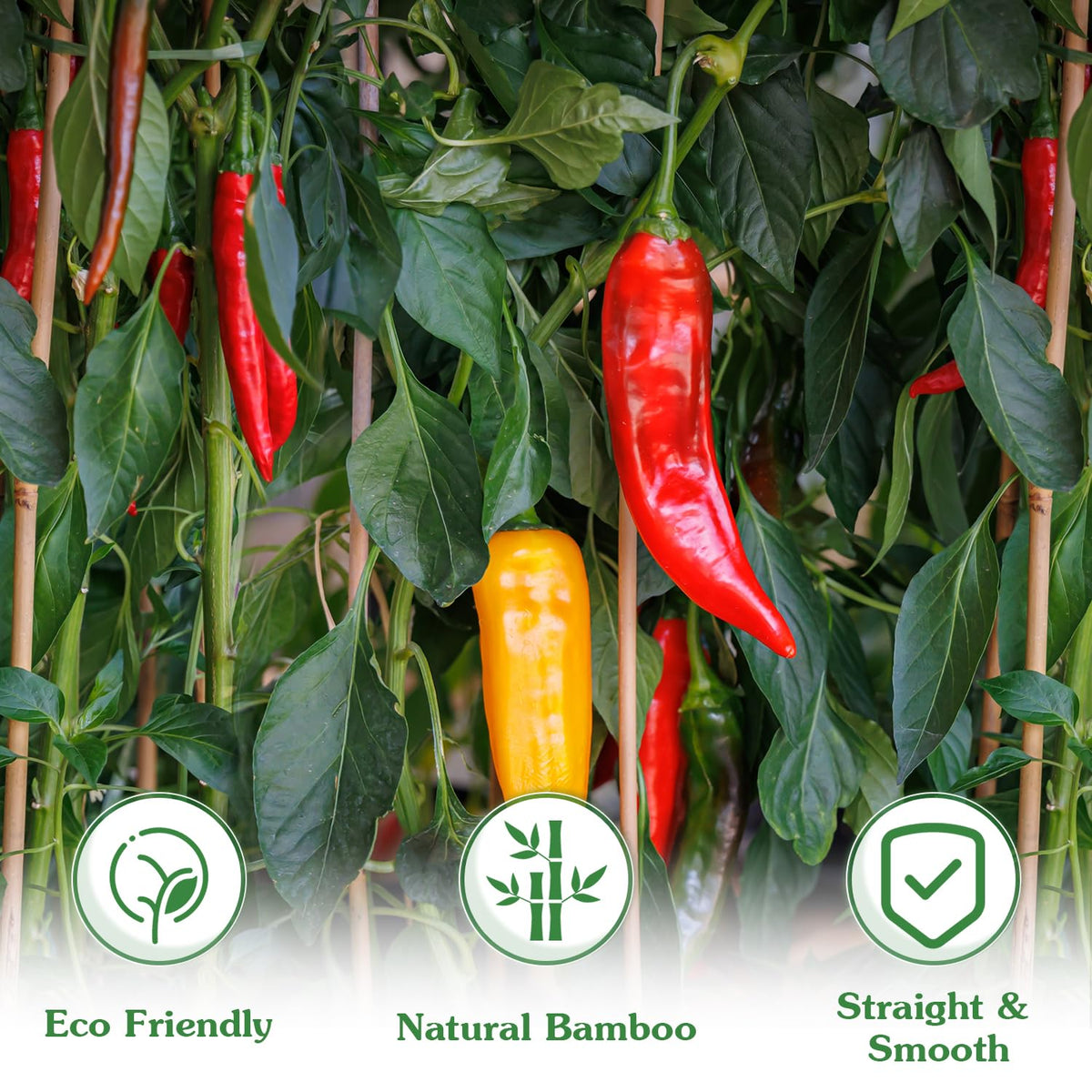 Stroller natural bamboo stakes for DIY trellises, fences, and pergolas.