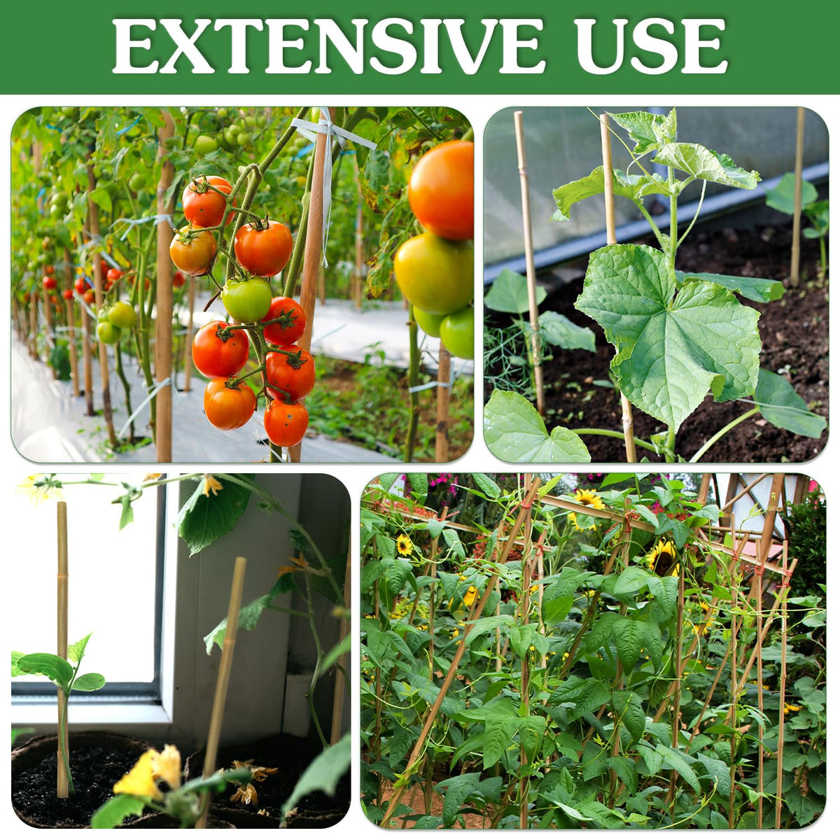 Stroller 4.8ft stake offers flexible height for climbing plants.