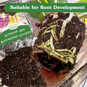 Stroller Orchid Potting Mix 4quart packaging showcases convenient all-in-one repotting solution.