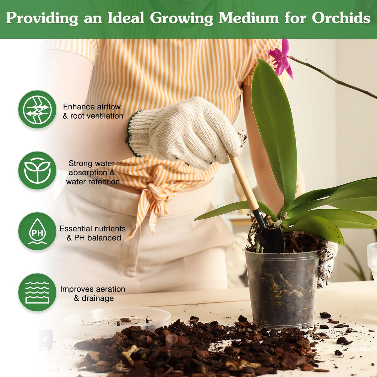 Stroller Orchid Potting Mix coco peat nutrition emphasizes steady nutrients for blooms.