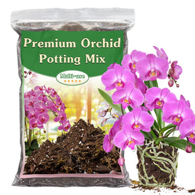 Stroller Orchid Potting Mix forest moss closeup shows moisture retention for healthy roots.