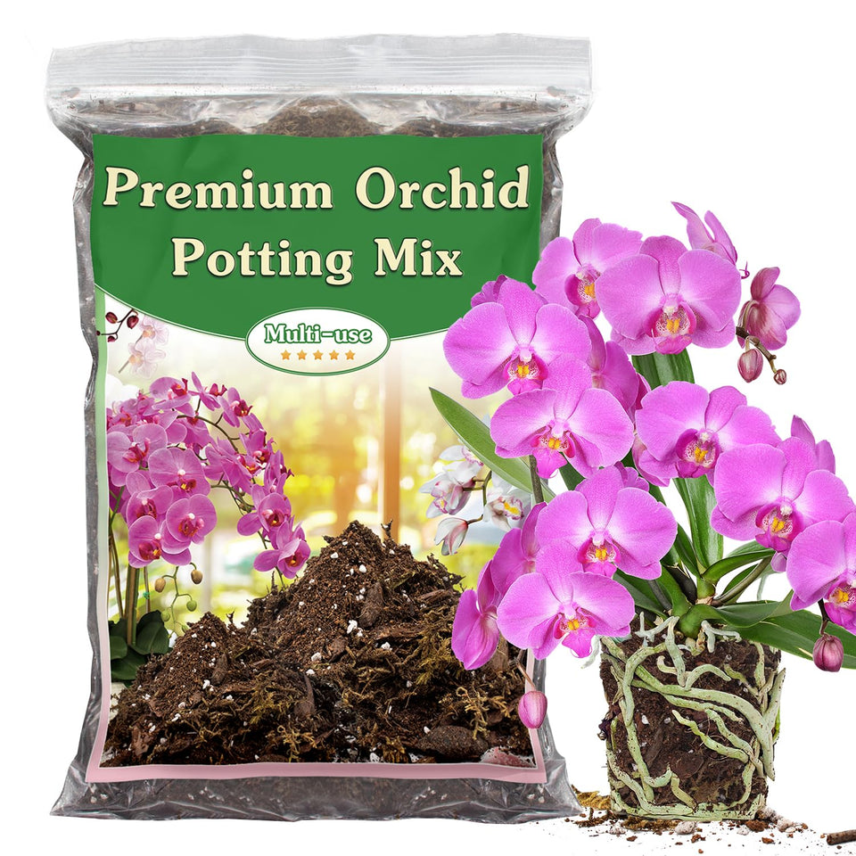 Stroller Orchid Potting Mix forest moss closeup shows moisture retention for healthy roots.