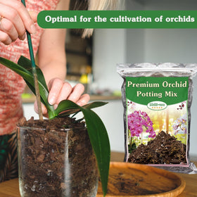 Stroller Orchid Potting Mix water absorption demo indicates balanced moisture for orchids.