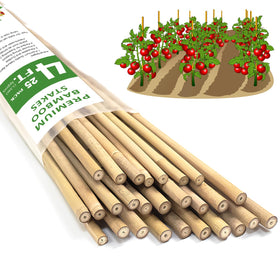 Stroller plant stakes 4ft natural bamboo for outdoor plant support.