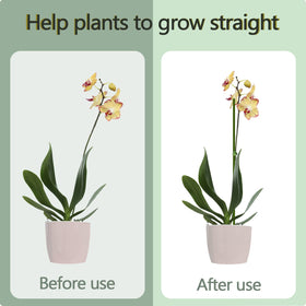Stroller plant stakes package includes 10 stakes and tape for setup.