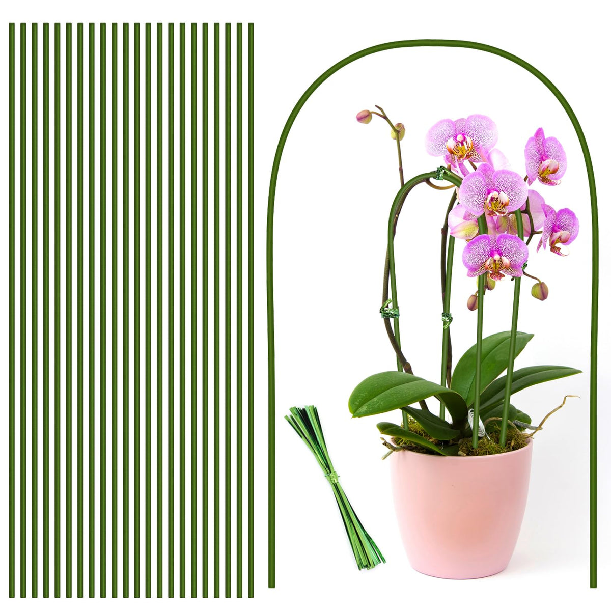 Stroller plant stakes packaging with rust-resistant green coating shown for outdoor use