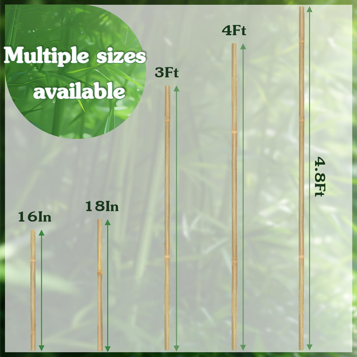 Stroller plant support stake ideal for tomatoes and beans.