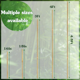 Stroller plant support stake ideal for tomatoes and beans.